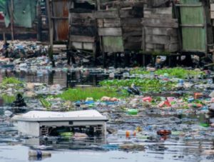 Top 5 sustainability pioneers