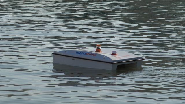 Ilfracombe WasteShark