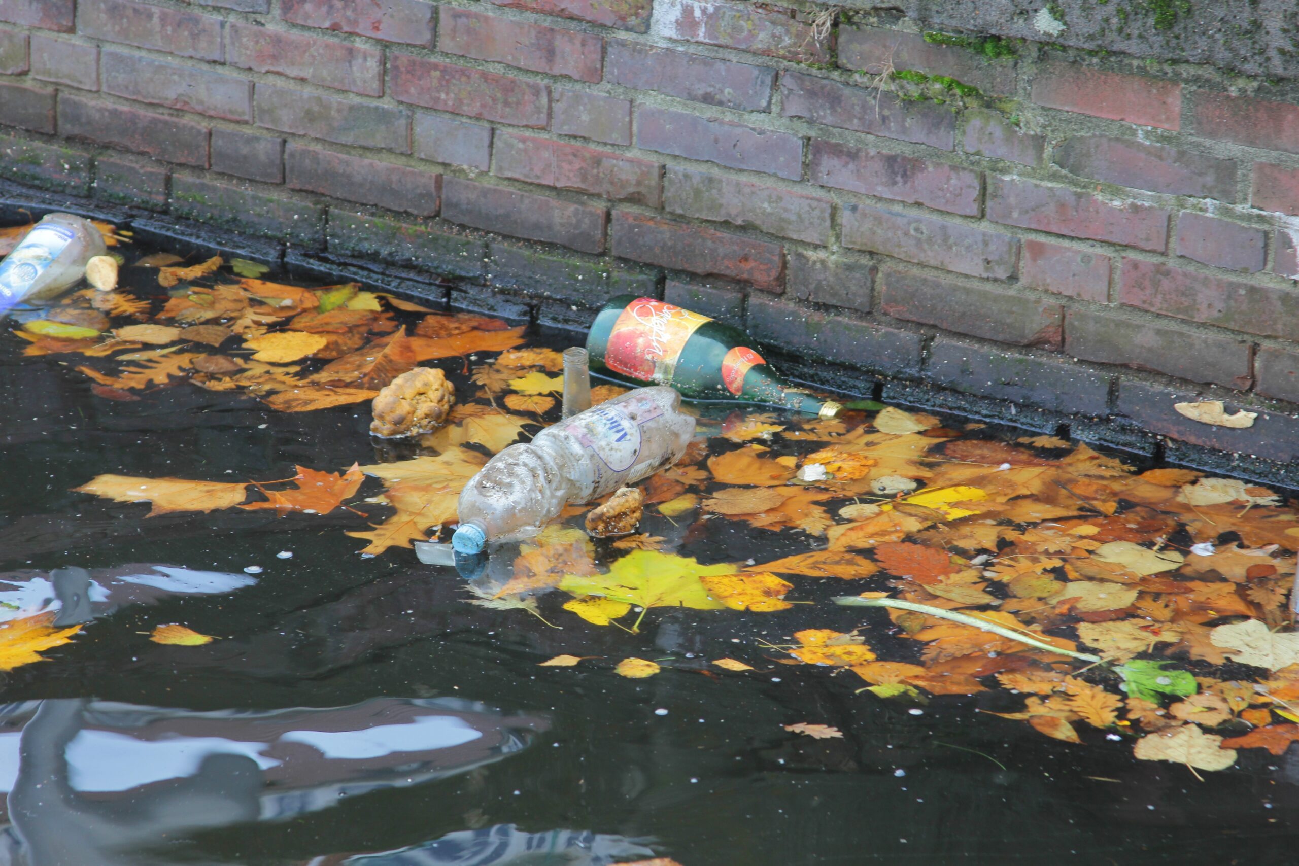 Plastic debris