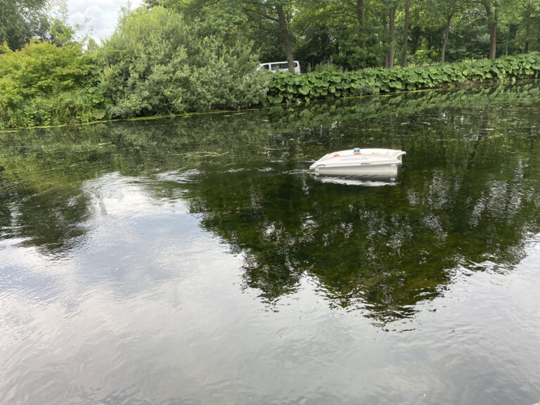 Cleaning Environment