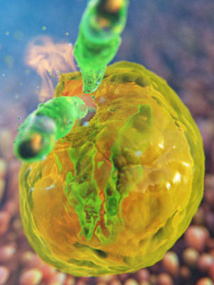 cryptosporidium