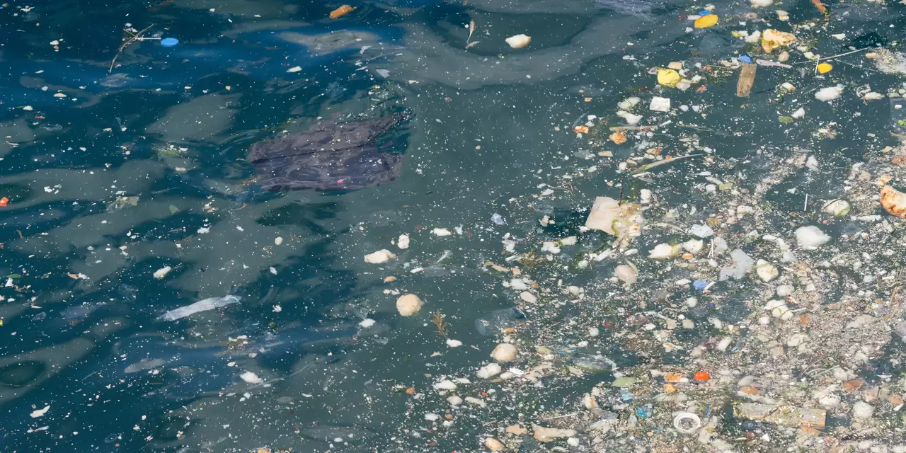 WWF: Plastic in oceans quadrupled by 2050