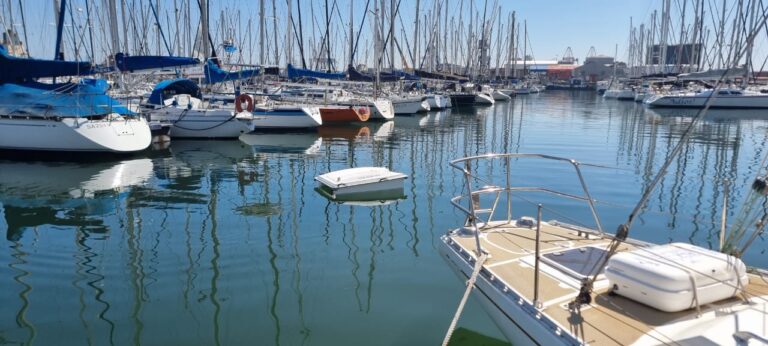 WasteShark in marina water