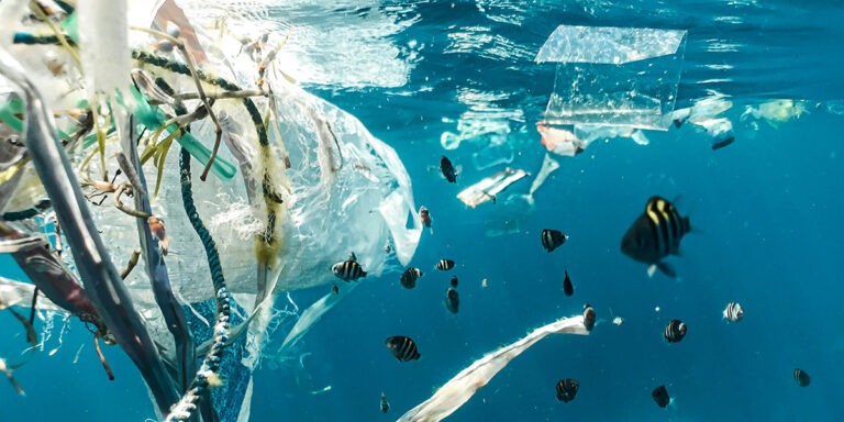 Floating plastic and fish in the ocean