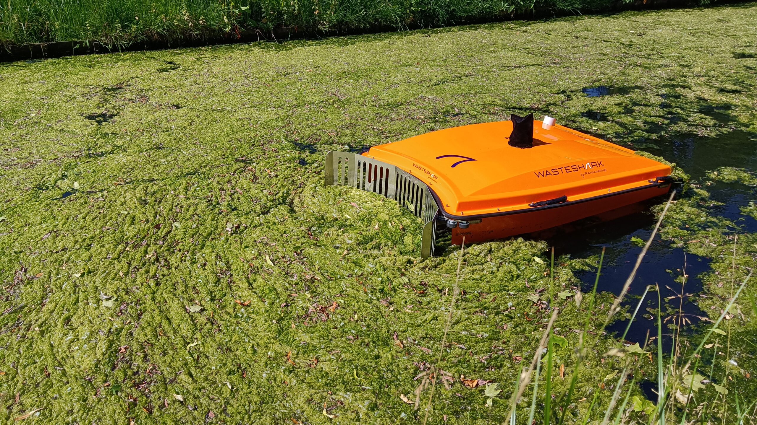 Image of a SharkDozer designed to push debris and biomass to the water’s edge, this accessory acts as a “bulldozer” for customers looking to clear large areas efficiently.