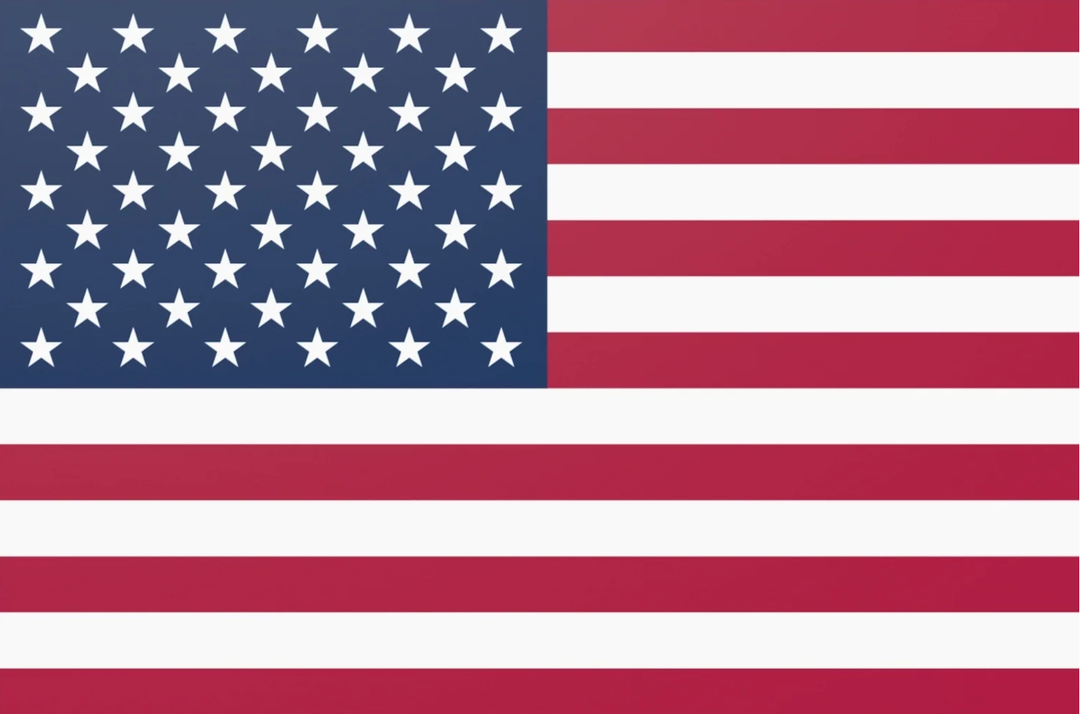 Flag used to show RanMarine has presence in the US.